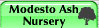 Modesto Ash Nursery